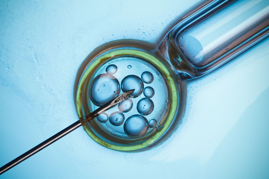 What is Genetic Testing in IVF?
