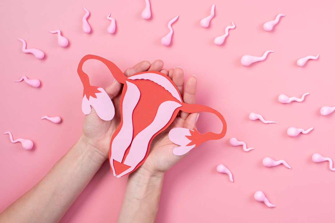 PCOS and Egg Quality