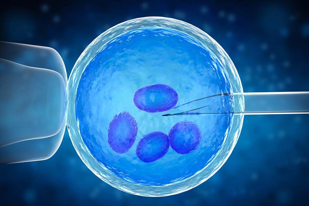 What is Recurrent Implantation Failure (RIF)?