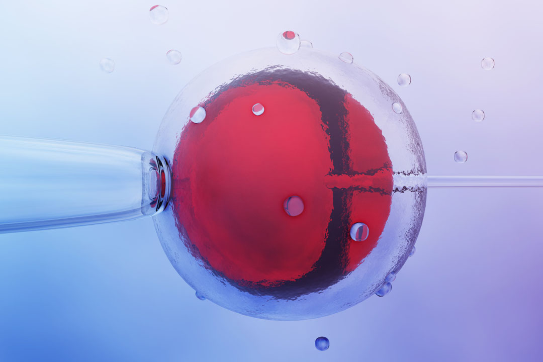 Complete Guide to IVF Tests & Evaluations