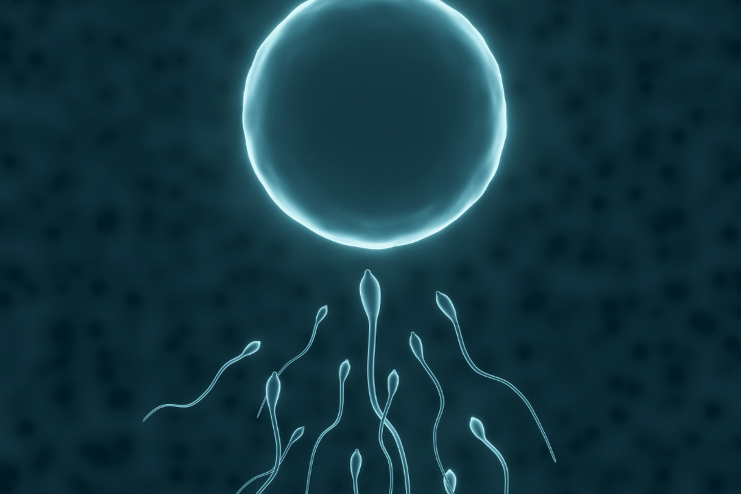 8 Signs of Healthy Sperm: How to Know Your Fertility Is in Good Shape