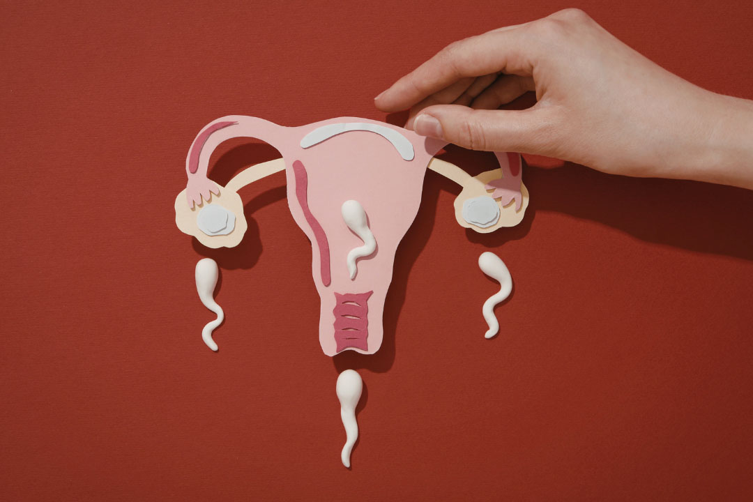 Female Fertility Test: Types, Cost & When to Do It
