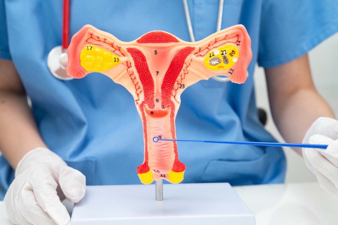 Enlarged Uterus Without Pregnancy: Causes & Treatment