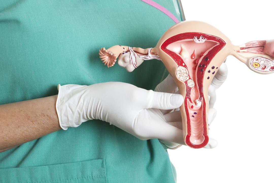 How to Increase Endometrial Thickness?