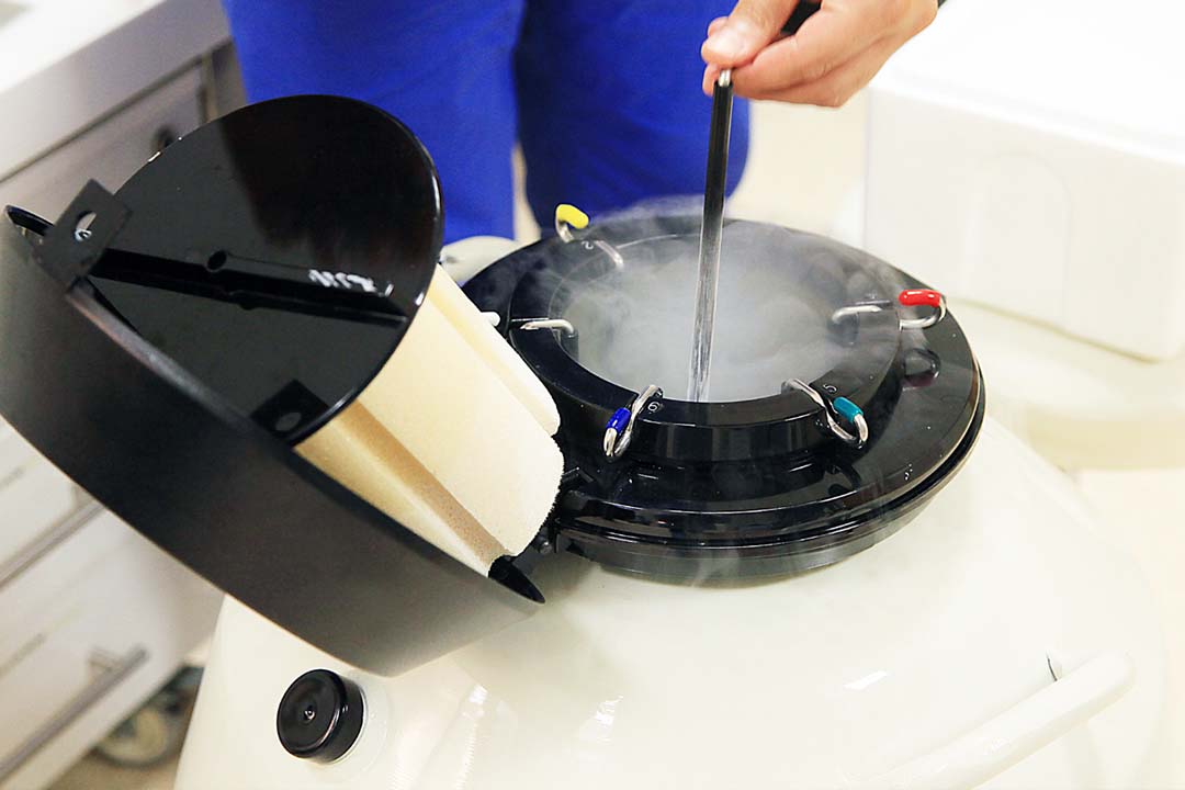 Egg Freezing vs. Embryo Freezing