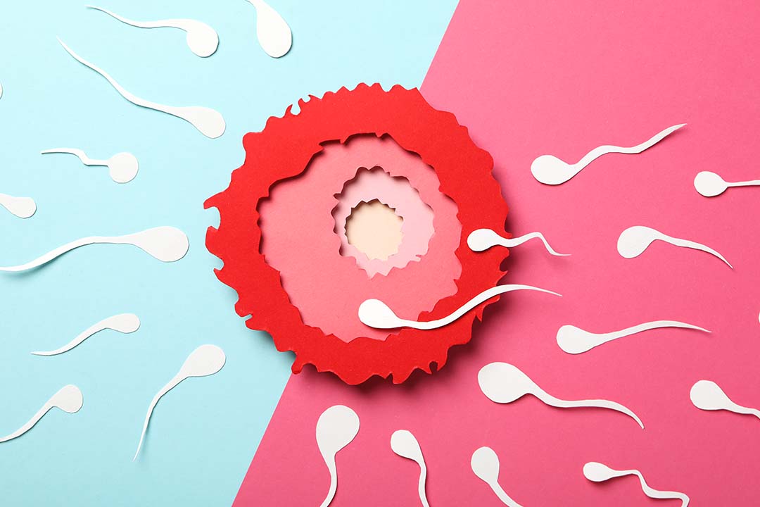 IVF Myths and Facts