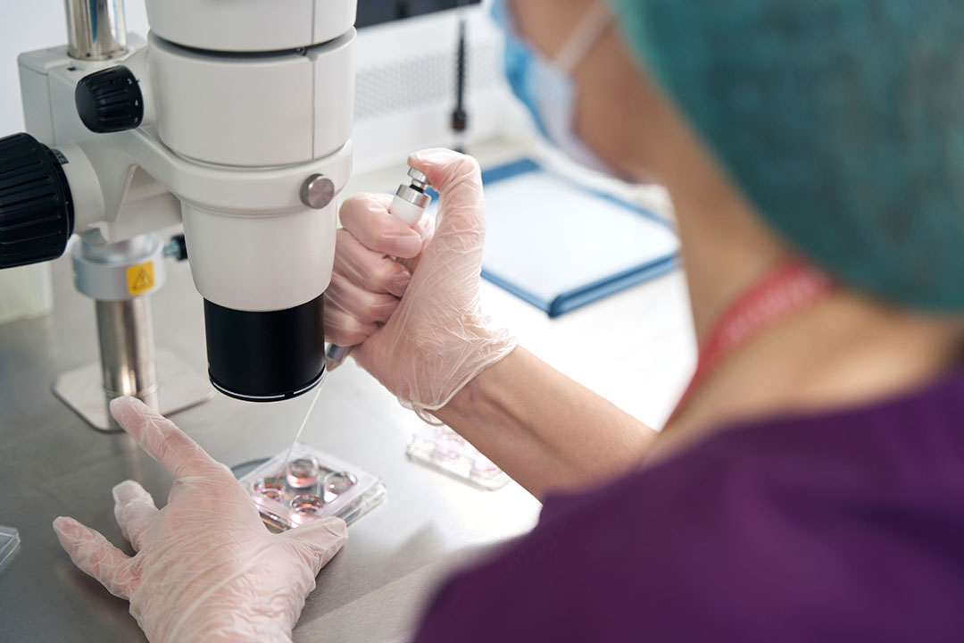 What is Frozen Embryo Transfer?